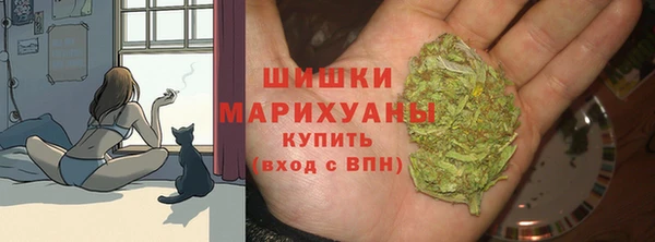 первитин Белокуриха