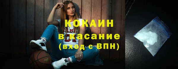 mix Богородицк