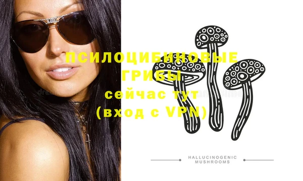мдма Богданович