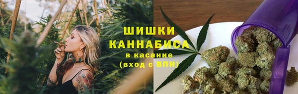 mix Богородицк
