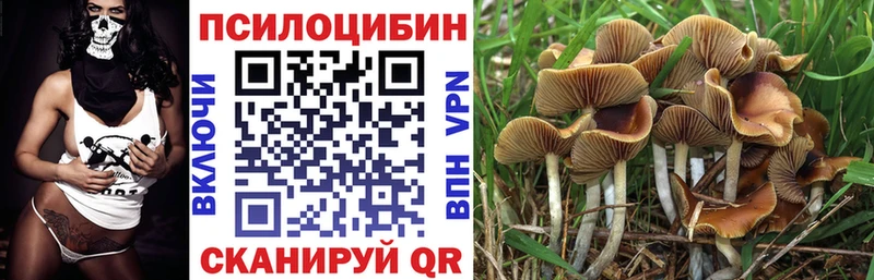 Галлюциногенные грибы MAGIC MUSHROOMS  Онега 
